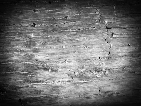 Dark wood texture, dramatic light and vignette Stock Illustration