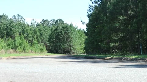 Dark Woods Stock Footage 274573744