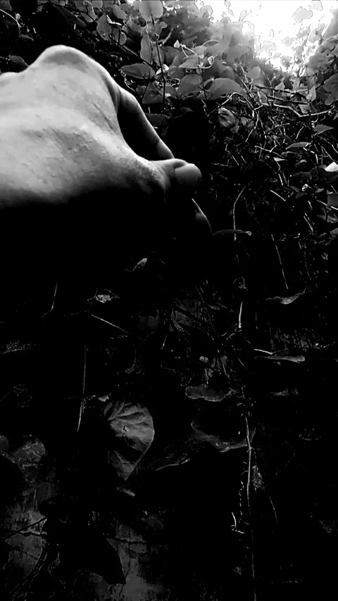 Dark World Video stock 299605692