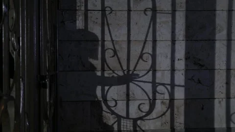 Dark yard 2 Stock Footage 322055510