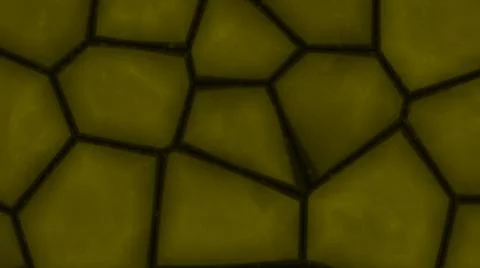 Dark yellow abstraction with mesh patterns. The texture of a honeycomb.  Stock Illustration