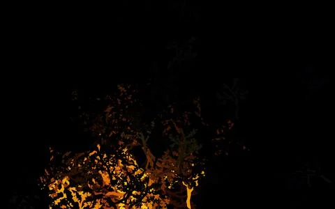 Dark Yellow vector elegant pattern with trees, branches. Stockillustratie