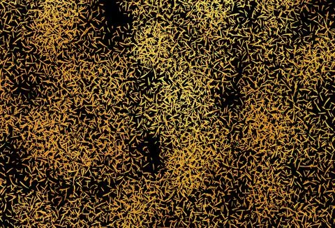 Dark Yellow vector pattern with sharp lines. 스톡 일러스트