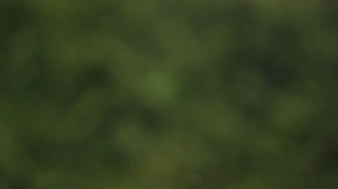 Darker snow bokah Video stock 36629361