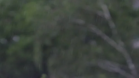 Darkish Rain Stock Footage 51349604