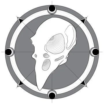 Darkmystical raven head with geometric patterned frame Stock Illustration