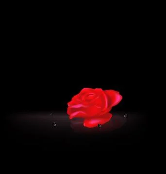 Darkness and the abstract red rose with black beads Stock Illustration