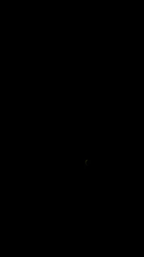 Darkness black red light at night to view animal glowing insect firefly hand Stock Footage 338150862