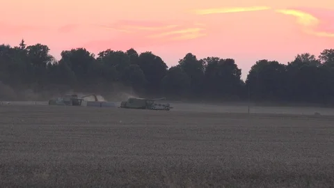 Darkness falls on combine loading harvested cereal grain to truck. 4K Stock Footage 76894052