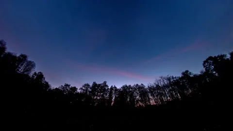 Darkness over forest Stock Footage 285788660