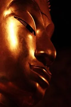 In the Darkness Stock Photos