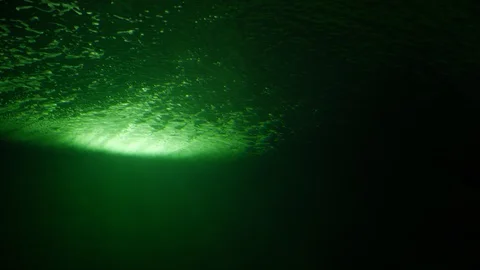 Darkness underwater deep sea Stock Footage 94429648
