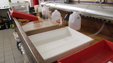Darkroom developing trays setup 스톡 동영상 105591569