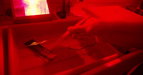 Darkroom photo printing by developing test strip to check exposure levels Stock Footage 328142393