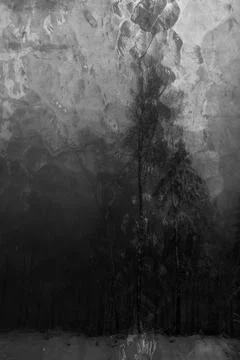DarkWinter Stock Photos
