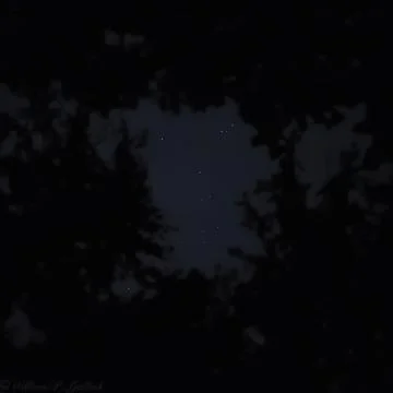 Darkwood Stock Photos