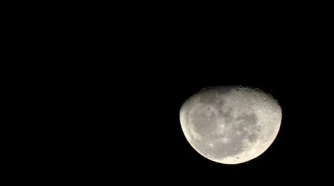 Darky half moon close up Stock Footage 35338044