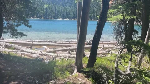 Darlene Lake, Oregon Backpacking Stock Footage 221579767