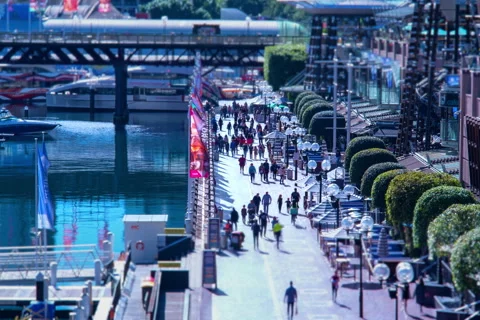Darling Harbour Tilt Shift Timelapse Stock Footage 247251399