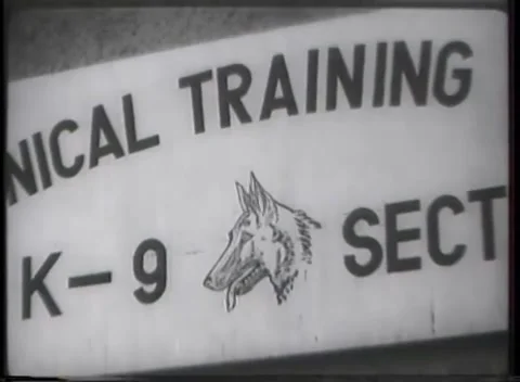 DARMSTADT, GERMANY - 1948: Reflected figures - Painted canine section marker Stock Footage 344488825