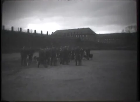 DARMSTADT, GERMANY - 1948: Unit drill - Dog teams march across parade square Stock Footage 344488795