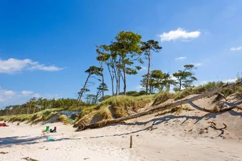 Darss weststrand Stock Photos