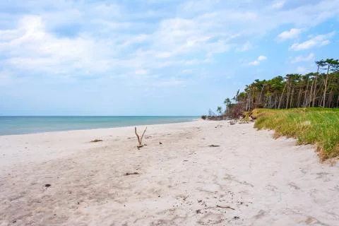 Darss weststrand Stock Photos