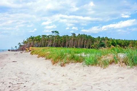 Darss weststrand Stock Photos