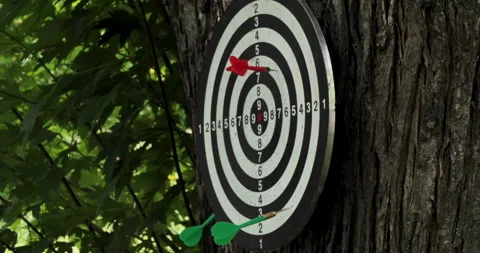 The dart board is stuck to the tree trunk Stock Footage 277595395