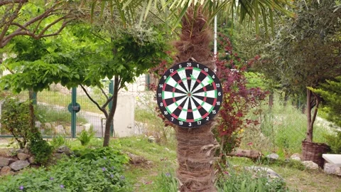Dart Game Stock Footage 191476718