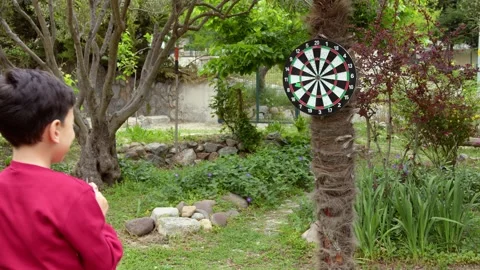 Dart Game In The Garden Stock Footage 191482939