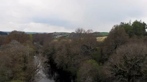 Dart River and Green Fields in Dartington Gardens, Totnes, England. Video stock 206862686