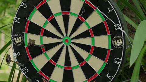 Dartboard Mounted Outdoors During a Game of Darts in a Garden Stock Footage 342331029