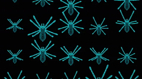 Darting Spiders Stock Footage 68069572