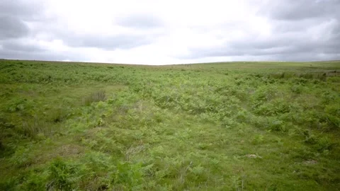 Dartmoor Devon England Stock Footage 134401379