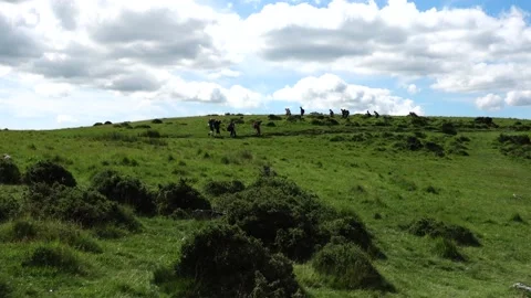 Dartmoor Devon England Stock Footage 134956116