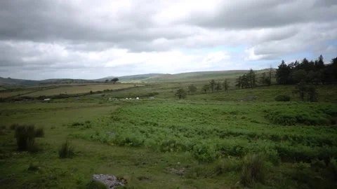 Dartmoor Devon England. Panoramic view Stock Footage 134403138