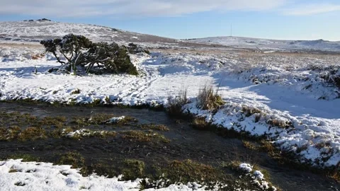 Dartmoor Devon first snow of the winter Stock Footage 321476809