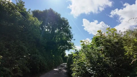 Dartmoor Devon UK. 07.08.2024. Video.  Narrow country lane to Harford Moor on Stock Footage 282492147
