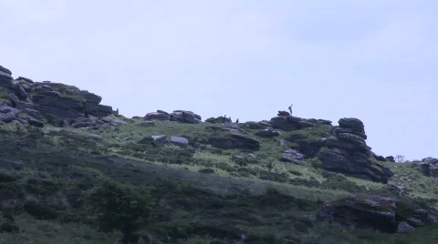 Dartmoor Video stock 858665