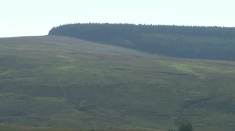 Dartmoor Forest Stock-Footage 18029422