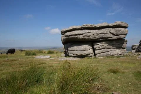 Dartmoor National Park Devon UK. Traditional rural and moor landscape with trees Stock Photos