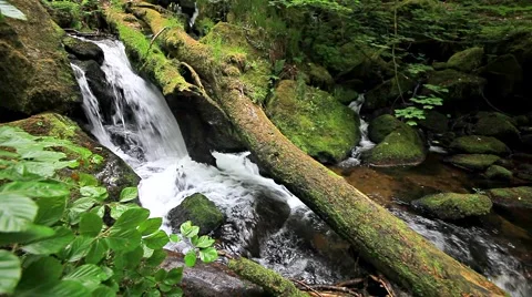Dartmoor stream Stock Footage 49656205