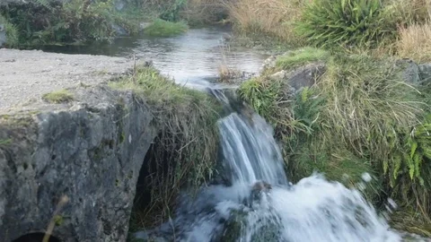 Dartmoor Stream 스톡 동영상 81910280