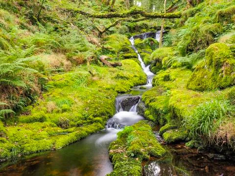 Dartmoor stream Stock Photos