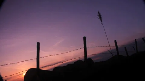 Dartmoor Sunset_Barbed wire Video stock 38308752