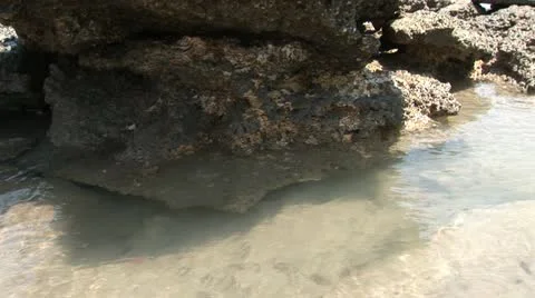 Darwin Beach rock pool Video stock 20606421