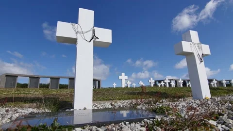 Darwin Cemetery Stock Footage 133676119