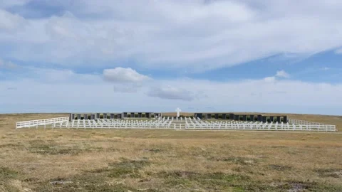 DARWIN CEMETERY Stock Footage 133677498