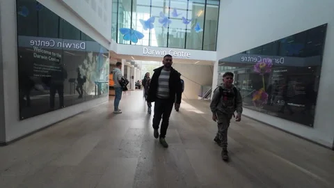 The Darwin Centre. Stock Footage 273164632
